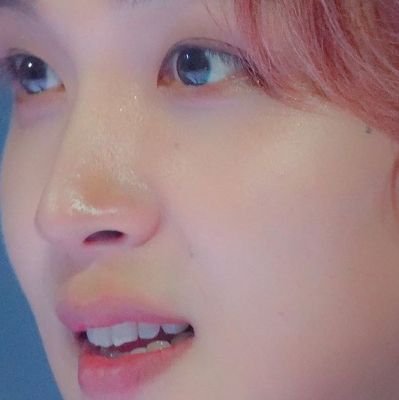 reading acc for 🐯🐻 and general • just duckin' happy to be here !! your amazingness brought me here i luv u