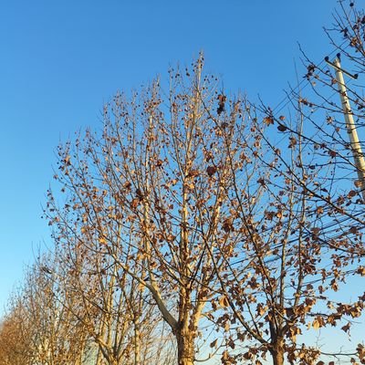 fil6777's profile picture. 加油💪