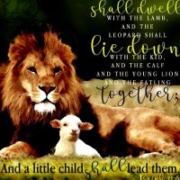 Gabby Rose (@gabbyro43287477) 's Twitter Profile Photo Gabby Rose (@gabbyro43287477) 's Twitter Profile Photo