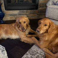 Jason Koep (@koepjason) 's Twitter Profile