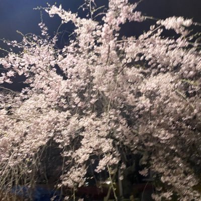 showto10_31's profile picture. 職業:イケメン慶應生