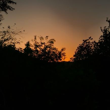 Hiteshkumar136's profile picture. 