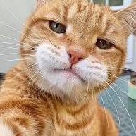 Merak Ati (@mimitamituxxl) Twitter profile photo