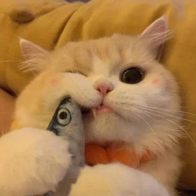 ATilton70260's profile picture. AI Strategist | Product Builder | Futurist