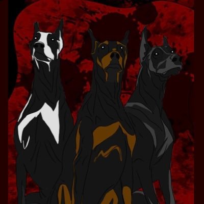 wincorsoweb3's profile picture. I’m learning everyday