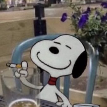 lattiethv's profile picture. 21
