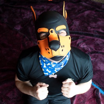 GURUBURU13's profile picture. news puppy in the comunity ^^ warff
https://t.co/CyMrr4XhBw