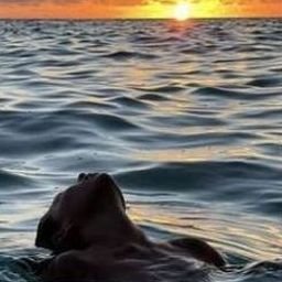 Jajon09152's profile picture. "Life is unpredictable, but good medicine and a compassionate heart never fail."