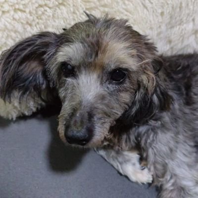 SBJorqさんのプロフィール画像