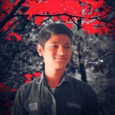 MalkariDev18323's profile picture. 