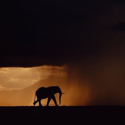 vjwriteup's profile picture. கடந்த நாட்களை கடக்க முடியாமல்