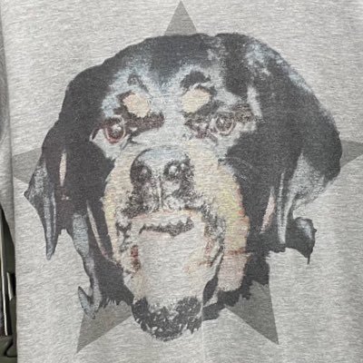 inceherif's profile picture. 安全に！