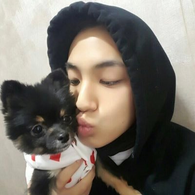 ⋆˙⟡♡ OT13 ♡ ⟡ ⋆˙ i lov dino soo much + exo-l ♡ @feat_svtellarin (voting/polls acc)