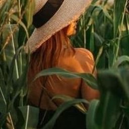 Ybeerir515169's profile picture. 