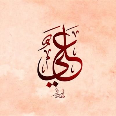 | إِنَّمَا مَثَلِي بَيْنَكُمْ كَالسِّرَاجِ فِي الظُّلْمَةِ يَسْتَضِيءُ بِهَا مَنْ وَلَجَهَا |
