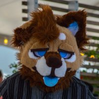 Cash | Buell 🔜 Furpoc (@hyenacera) 's Twitter Profile Photo Cash | Buell 🔜 Furpoc (@hyenacera) 's Twitter Profile Photo