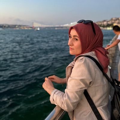 🏛Istanbul University | History PhD (c)
Military History | Russia