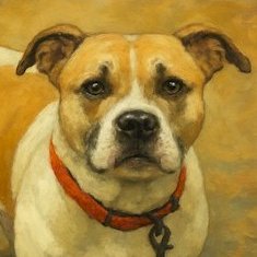 AmericanYank123's profile picture. Baby Boomer MAGA American