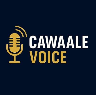 Cawaale Voice Profile