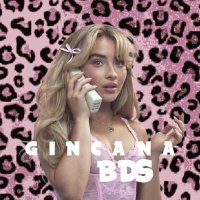 gincana bds (@gincanabds) 's Twitter Profile