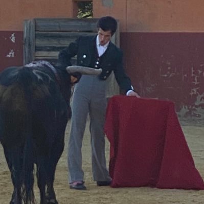 Novillero Con Picadores de Sevilla