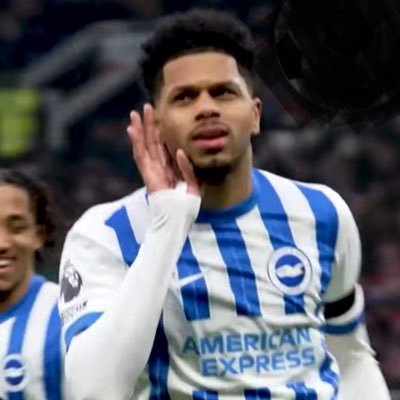 chelbhafc's profile picture. #BHAFC💙🤍