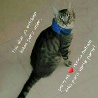 Leo@Lagata2711 (@lagatta2711) 's Twitter Profile