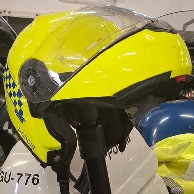 Profesionales en la protección y en la seguridad