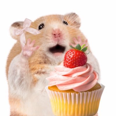 ドクスヂ🧁さんのプロフィール画像