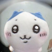 ㅌㅊㅅ 쿠 (@kuuuoooooo000) 's Twitter Profile Photo ㅌㅊㅅ 쿠 (@kuuuoooooo000) 's Twitter Profile Photo