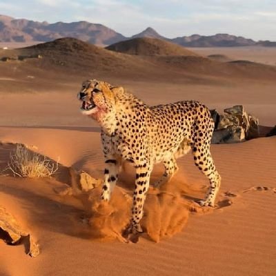اليا سمع بيتين سرّاه الذهول ،
واليا سمع آيه رفع سبابته .