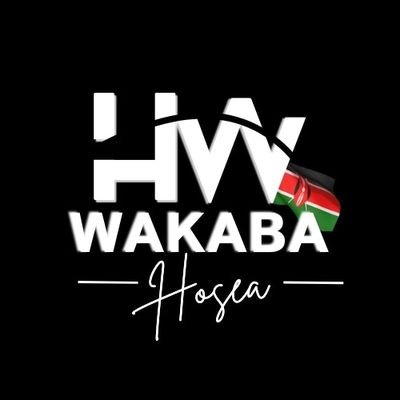 wakabah_'s profile picture. Stablecoin FX Specialist | VictusMarkets FX Sales BD Representative.