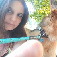 R. (@9977997r) 's Twitter Profile Photo