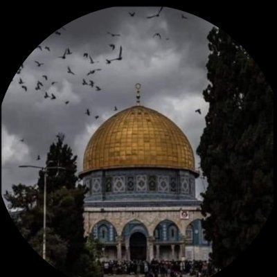 لا تَدْرِي لَعَلَّ اللَّهَ يُحْدِثُ بَعْدَ ذَلِكَ أَمْرًا 🤎🦋