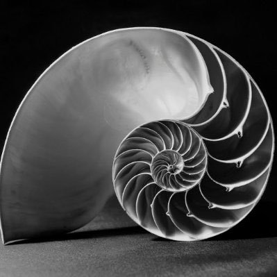 Elliottwave trader on all markets | PM for count requests