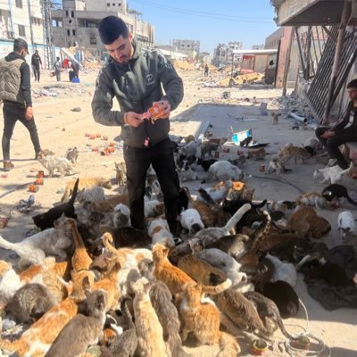Independent rescuer and animal lover 🦮🐈😻 dedicated to helping the stray animals of Palestine 🐾🇵🇸✨ My name is Abdallah GFM: https://t.co/MKk58SRPaQ🙏🫂🆘