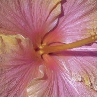 ف (@f99a66) Twitter profile photo