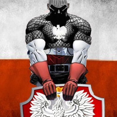 PolskiMysliciel's profile picture. 