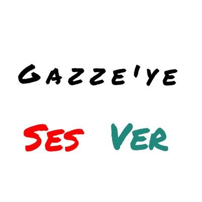 biz Gazze soykırımına itiraz etmek için Erzurum'da bir araya gelmiş vicdan sahibi insanız, elimizden gelen taş atmaksa, gücümüz buna yetiyorsa bunu yapıyoruz