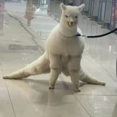 dml_dump's profile picture. 