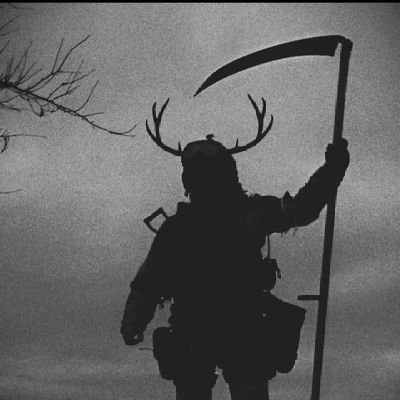 leader of none, follower of all, eyes always in the shadows.