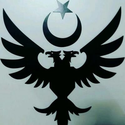 AlparslanDn3444's profile picture. Fenerbahçe