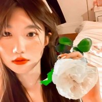 Stella (@tr6smdp0lx7ql5) 's Twitter Profile