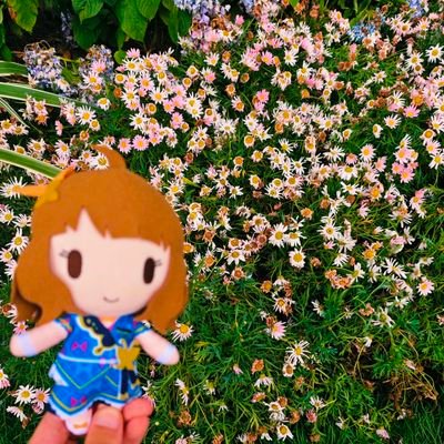 中國🇨🇳人,學生,アイマスp,アイドル好き,ML:周防桃子 CGSS:森久保乃々 依田芳乃 水本ゆかり SC:桑山千雪 大崎姉妹 郁田はるき 学マス:姫崎莉波,篠澤広 🪷:安養寺姬芽