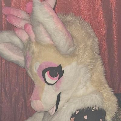 Sorceryさんのプロフィール画像