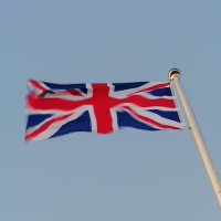 The flagpole man (@theflagpoleman) 's Twitter Profile