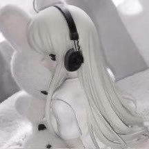 vwvies's profile picture. 