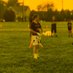 Logan Stanley (@logan_stan49787) Twitter profile photo Logan Stanley (@logan_stan49787) Twitter profile photo