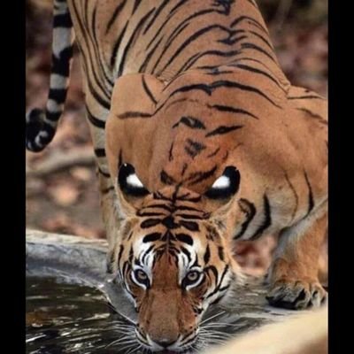 TheWorx278467's profile picture. 