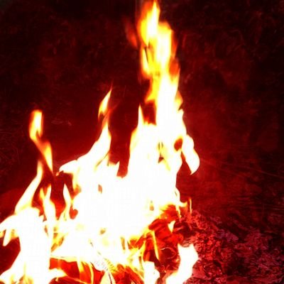 HEhQbXygZV15FYa's profile picture. I hope it succeeds🐋